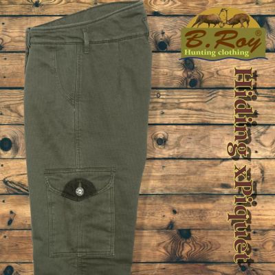 B. Roy Hiding xPiquet